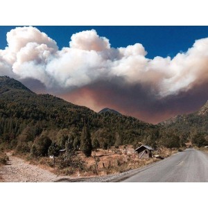 Incendio Parque Nacional Conguillío